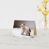 子猫の愛 カード (黄色い花)