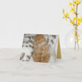 子猫の愛 カード (黄色い花)