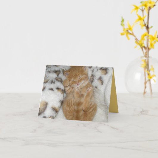 子猫の愛 カード (黄色い花)