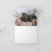 子猫の愛 カード (内部)