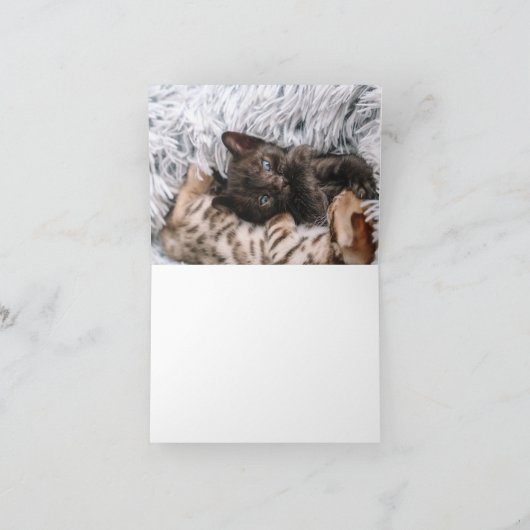 子猫の愛 カード (内部)