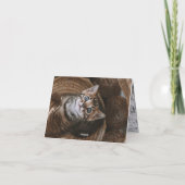 子猫の愛 カード (裏面)