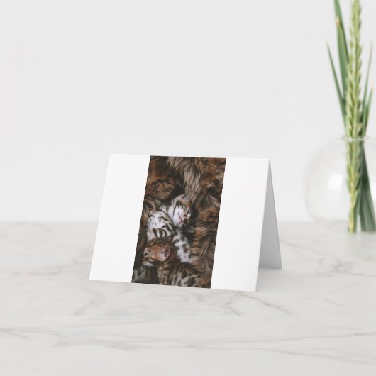 子猫の愛 カード (正面)