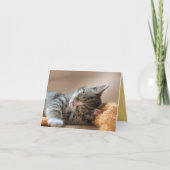 子猫の愛 カード (正面)