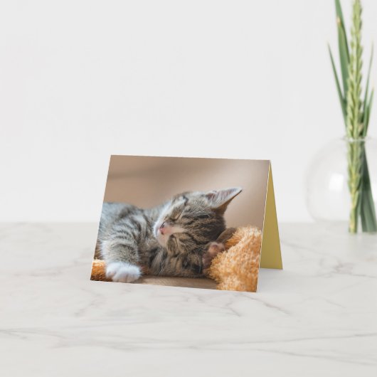 子猫の愛 カード (正面)