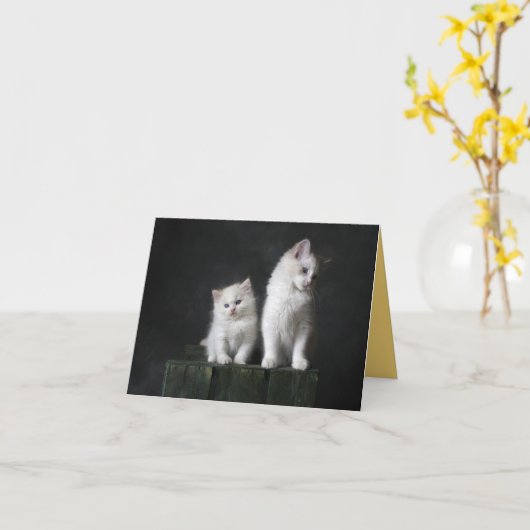 子猫の愛 カード (黄色い花)