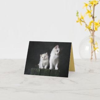 子猫の愛 カード
