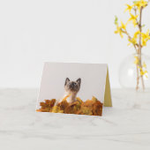 子猫の愛 カード (黄色い花)