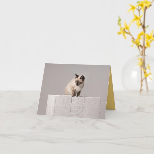 子猫の愛 カード (黄色い花)