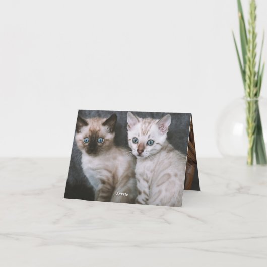 子猫の愛 カード (裏面)