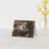 子猫の愛 カード (黄色い花)