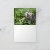 子猫の愛 カード (内部)