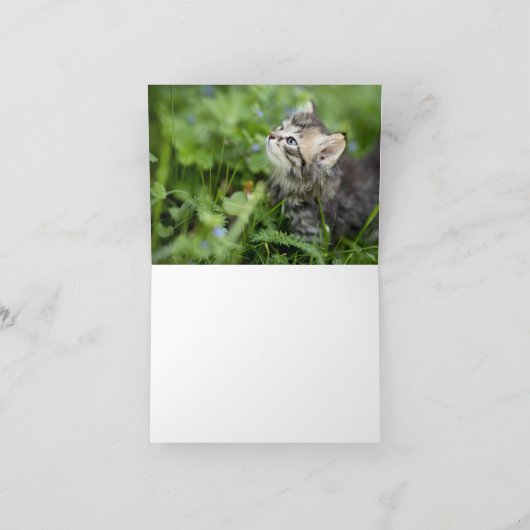 子猫の愛 カード (内部)