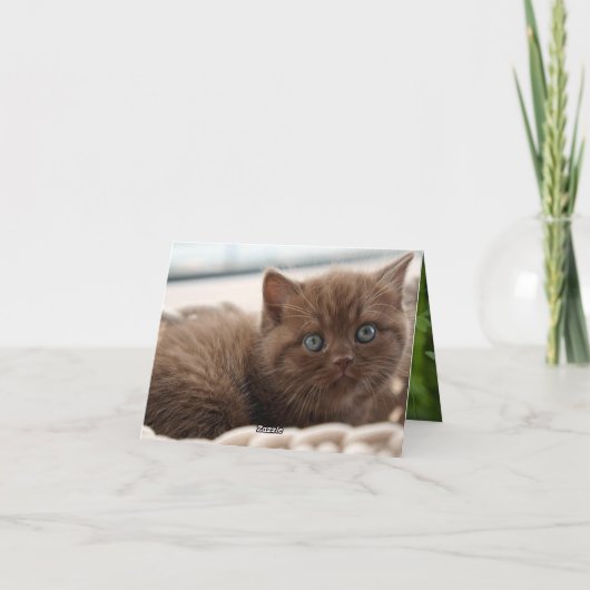 子猫の愛 カード (裏面)