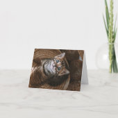 子猫の愛 カード (正面)