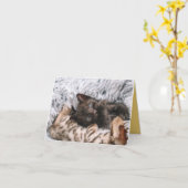 子猫の愛 カード (黄色い花)