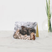 子猫の愛 カード (正面)