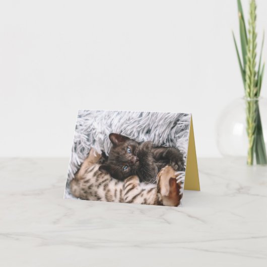 子猫の愛 カード (正面)