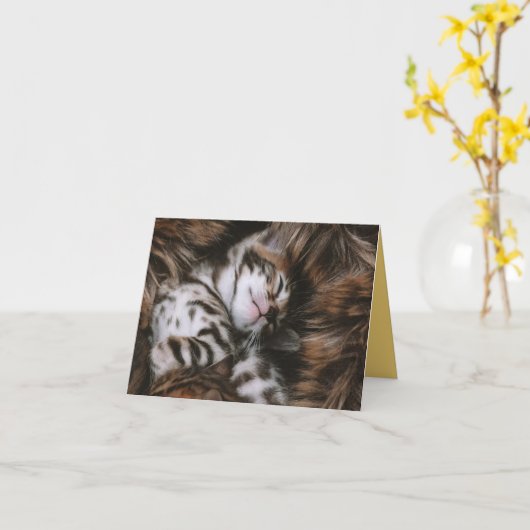 子猫の愛 カード (黄色い花)
