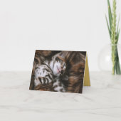 子猫の愛 カード (正面)