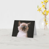 子猫の愛 カード (黄色い花)