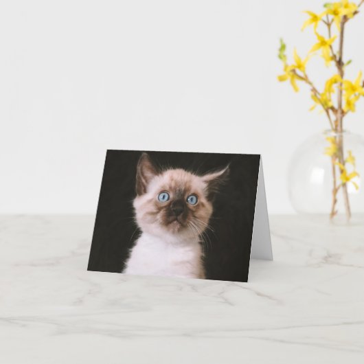 子猫の愛 カード (黄色い花)