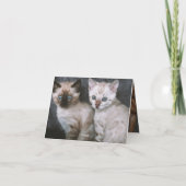 子猫の愛 カード (裏面)