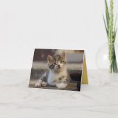 子猫の愛 カード (正面)