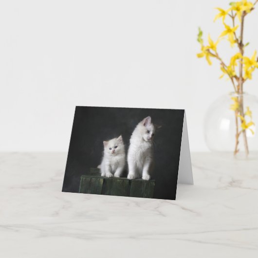 子猫の愛 カード (黄色い花)
