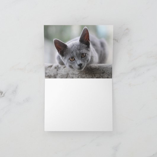 子猫の愛 カード (内部)