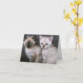 子猫の愛 カード (黄色い花)