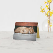 子猫の愛 カード (黄色い花)