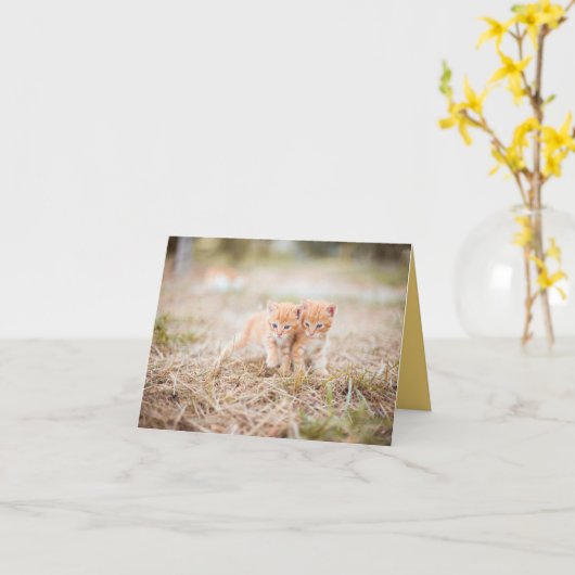 子猫の愛 カード (黄色い花)