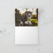 子猫の愛 カード (内部)