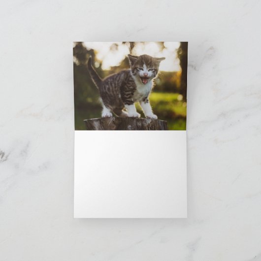 子猫の愛 カード (内部)