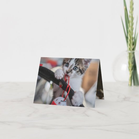 子猫の愛 カード (裏面)