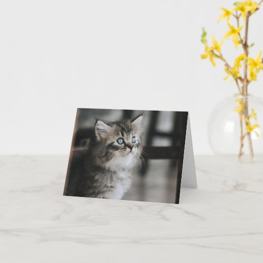 子猫の愛 カード (黄色い花)