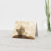 子猫の愛 カード (裏面)