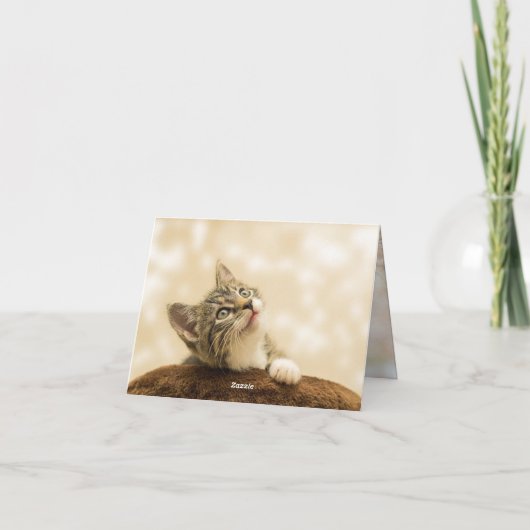 子猫の愛 カード (裏面)