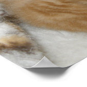 子猫の愛 ポスター (角)