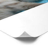 子猫の愛 ポスター (角)