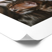 子猫の愛 ポスター (角)