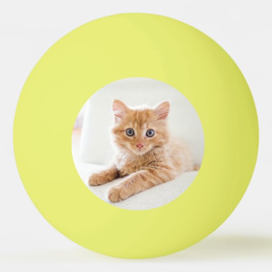 子猫の愛 卓球ボール (正面)