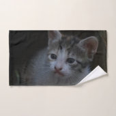 子猫の手拭い ハンドタオル (ハンドタオル)