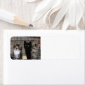 子猫の採用と愛差出人住所ラベル ラベル (インサイチュ)