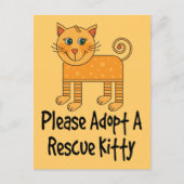 子猫の救助プレゼントをお願いします ポストカード (正面)