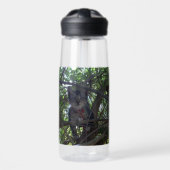 子猫の最初の木が冒険をする ウォーターボトル (正面)