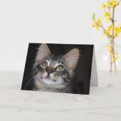 子猫の無邪気な記念日のカード カード (黄色い花)