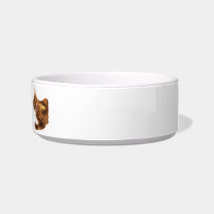 子猫の猫の餌ボールの爪を除かないで下さい ボウル