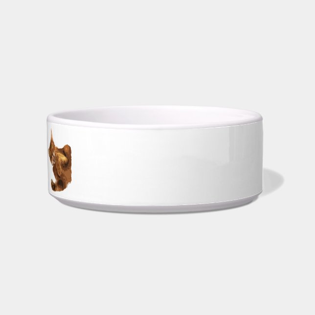 子猫の猫の餌ボールの爪を除かないで下さい ボウル (右)